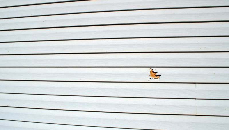 Vinyl Siding Repair Process